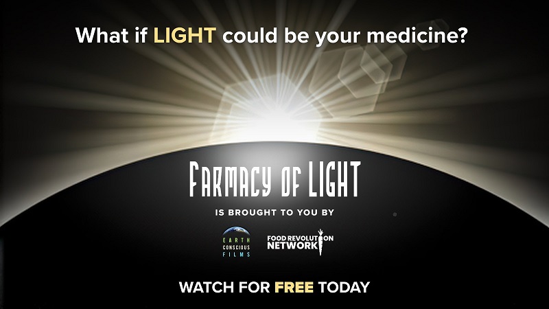 watch farmacy of light